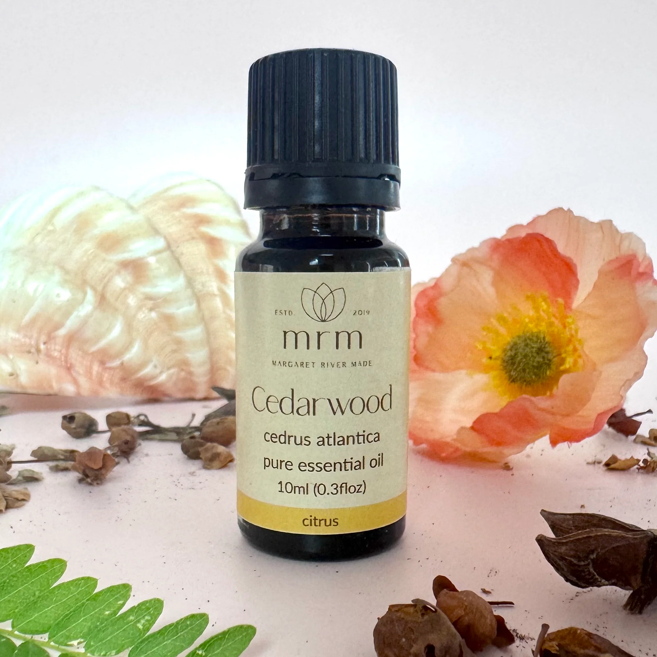 Cedarwood Pure Essential Oil - Image 3