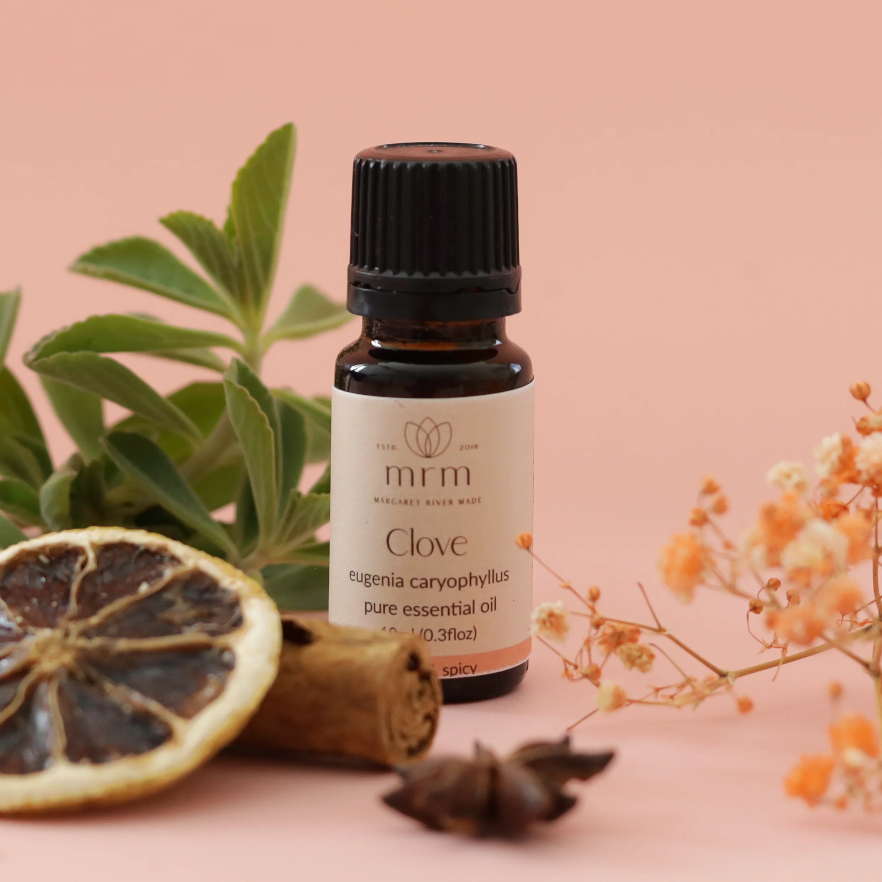 Clove Pure Essential Oil - Image 4