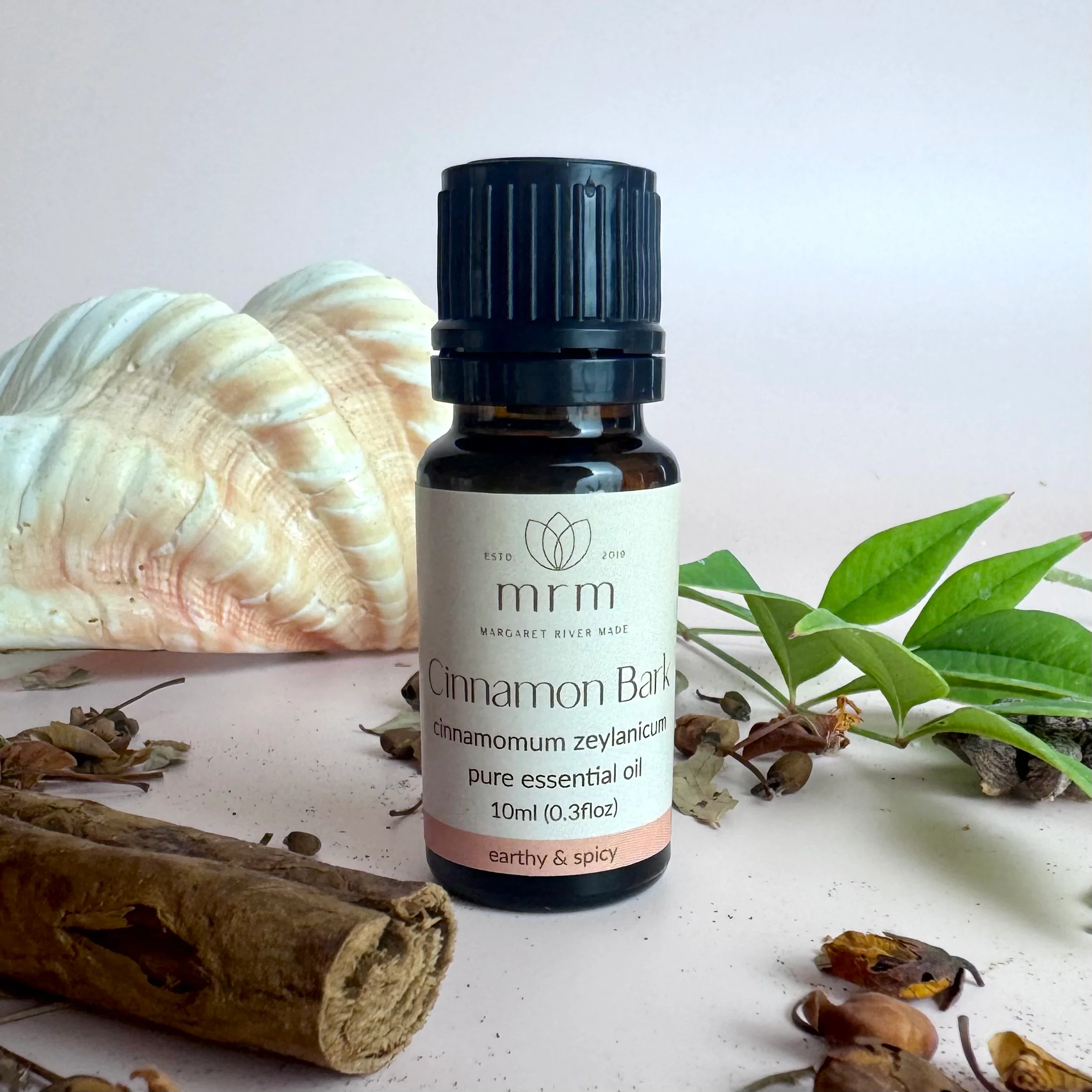 Cinnamon Pure Essential Oil - Image 3