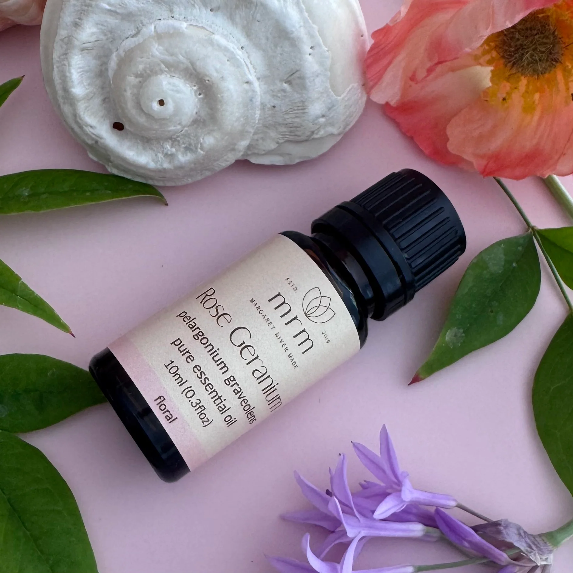 Rose Geranium Pure Essential OIl - Image 3