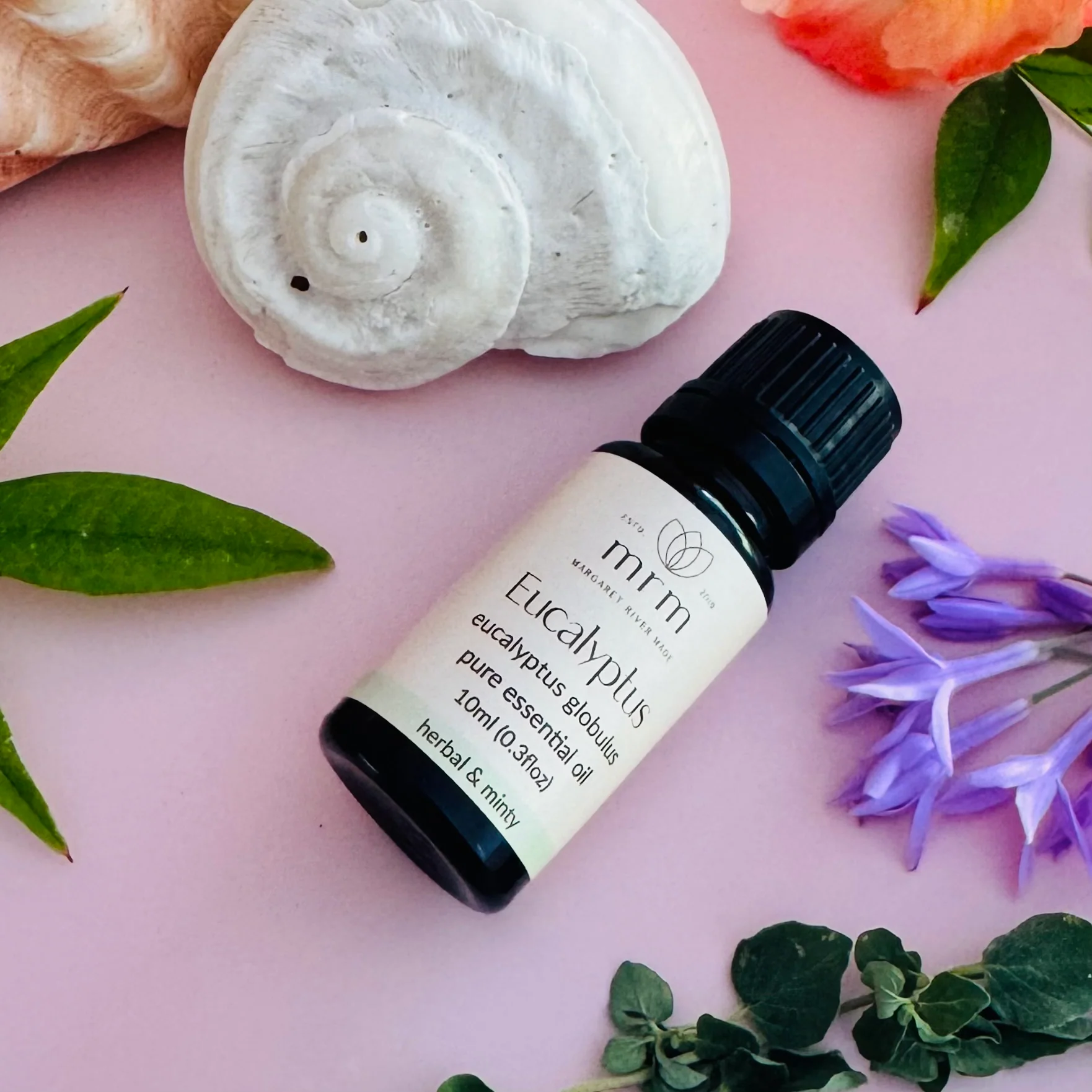 Eucalyptus Pure Essential Oil - Image 3