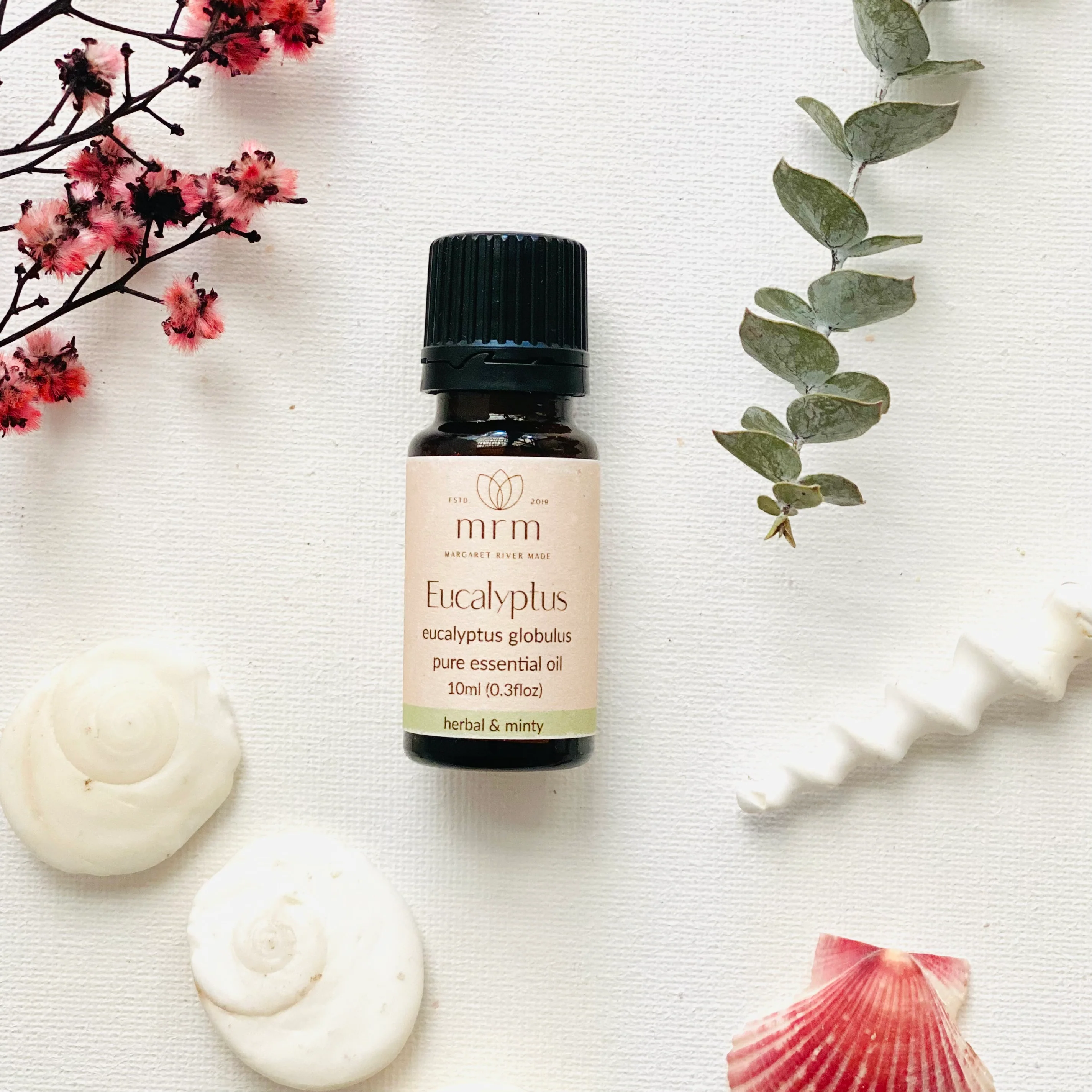 Eucalyptus Pure Essential Oil - Image 4