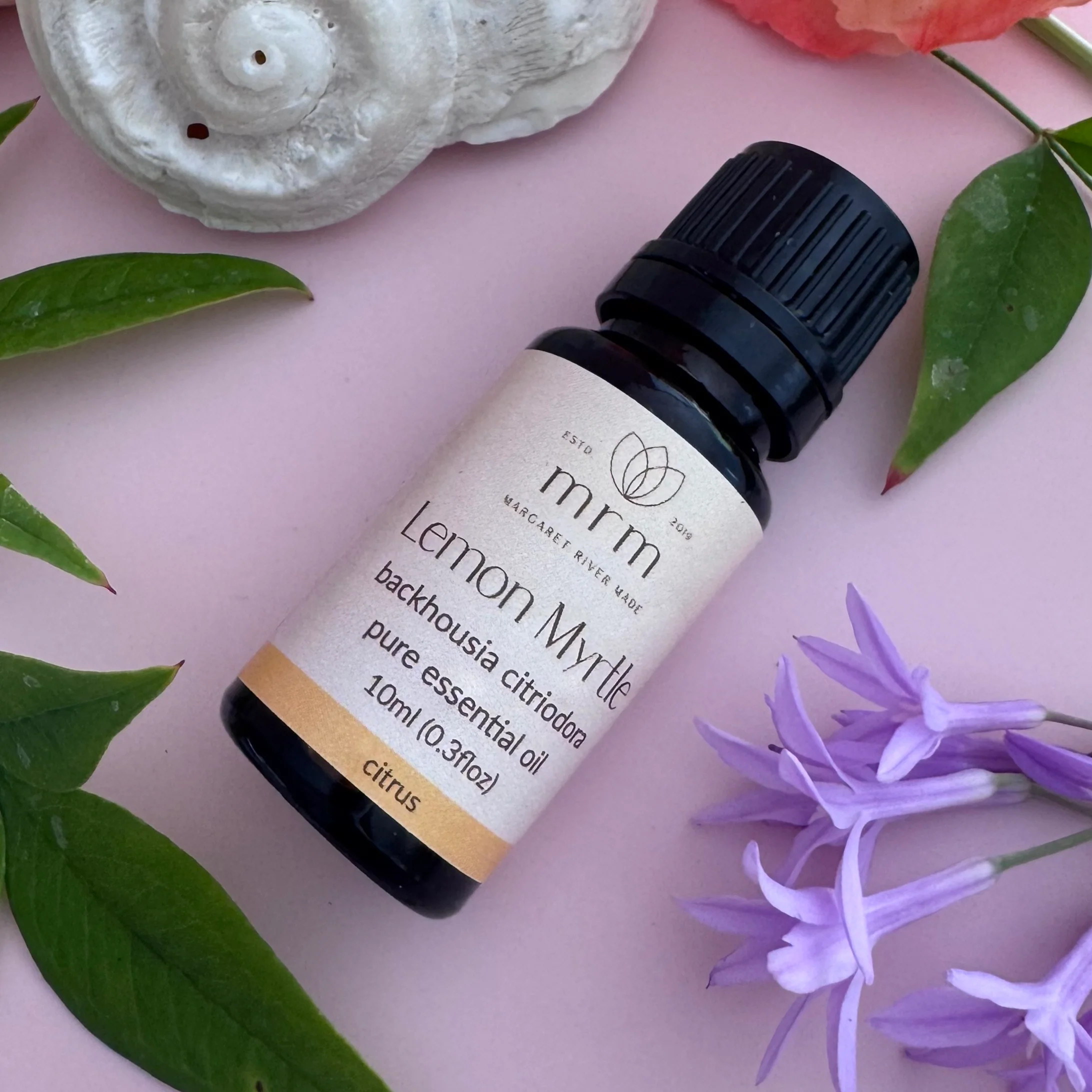 Lemon Myrtle Pure Essential Oil - Image 3