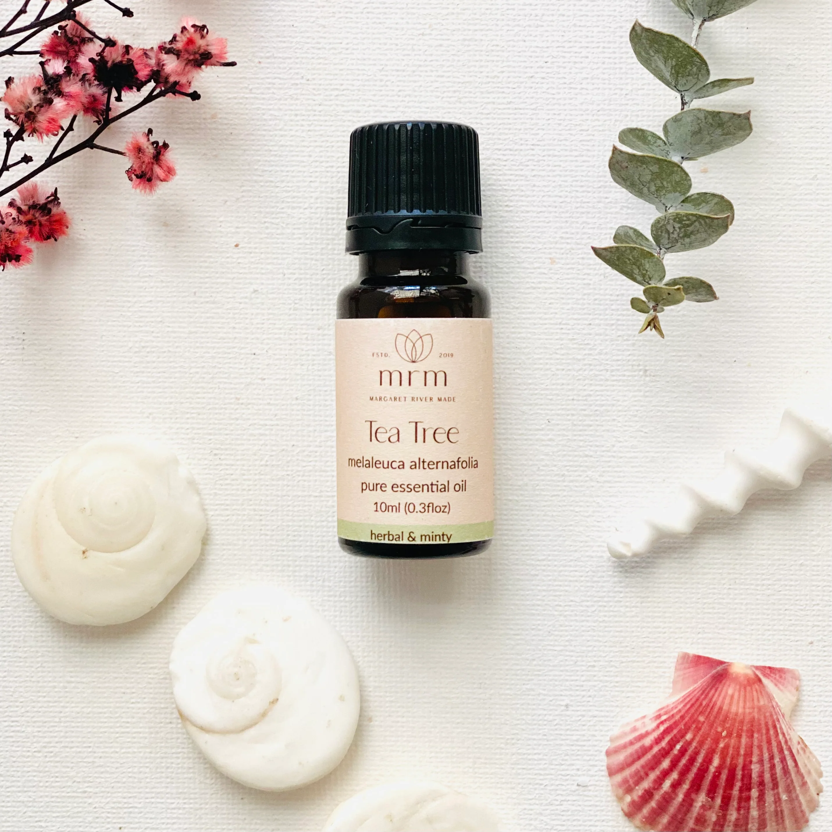 Tea Tree Pure Essential Oil - Image 3